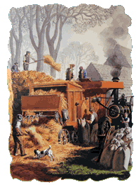 Bringing in the corn